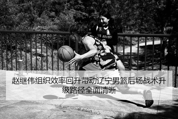 赵继伟组织效率回升带动辽宁男篮后场战术升级路径全面清晰（kaiyun）